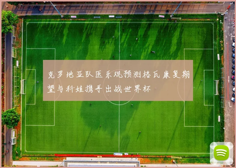 克罗地亚队医乐观预测格瓦康复期望与科娃携手出战世界杯