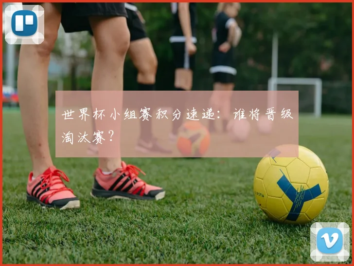 世界杯小组赛积分速递：谁将晋级淘汰赛？