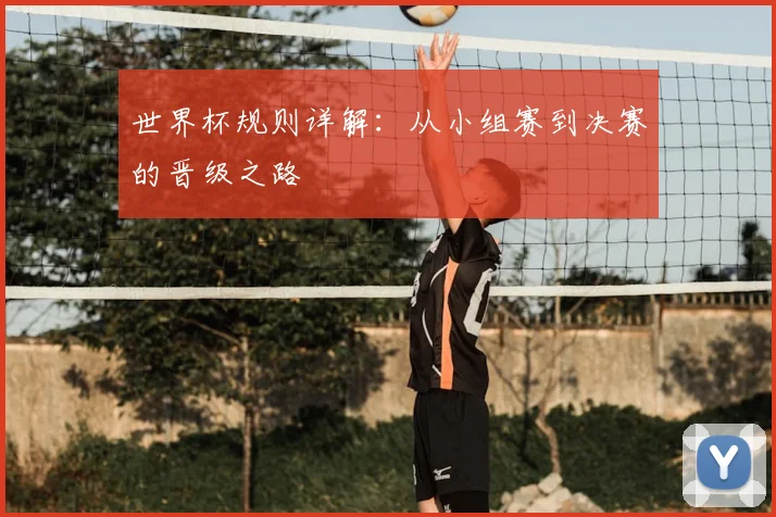 世界杯规则详解：从小组赛到决赛的晋级之路