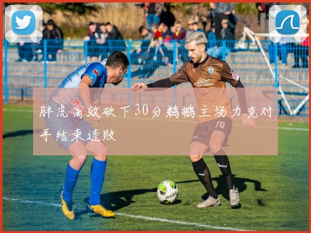 胖虎高效砍下30分鹈鹕主场力克对手结束连败