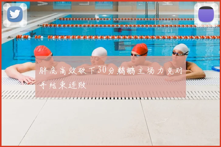 胖虎高效砍下30分鹈鹕主场力克对手结束连败