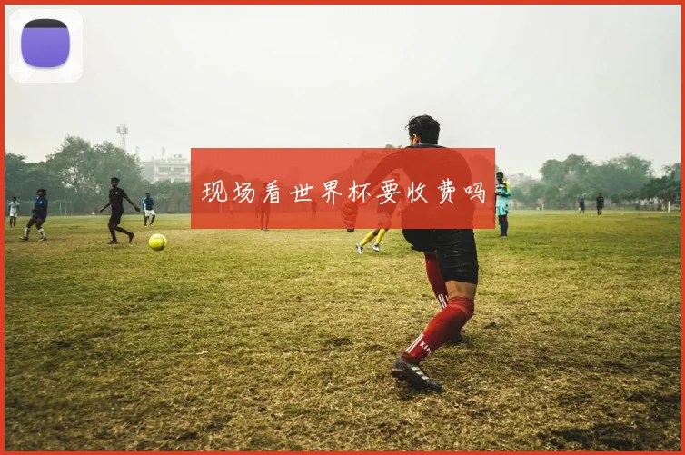 现场看世界杯要收费吗