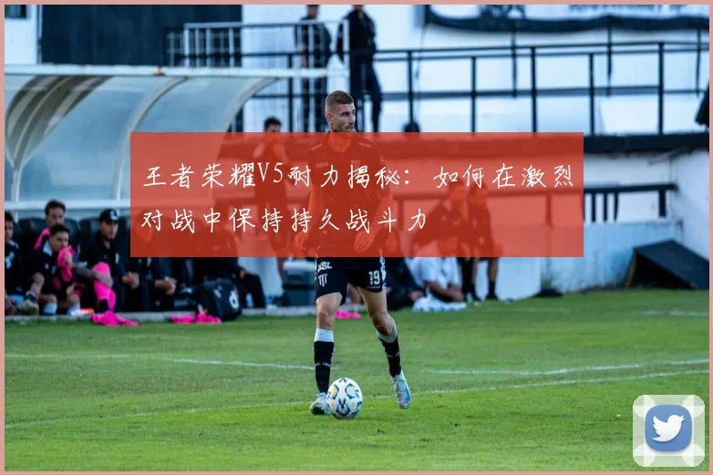 王者荣耀V5耐力揭秘:如何在激烈对战中保持持久战斗力
