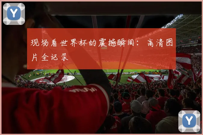 现场看世界杯的震撼瞬间：高清图片全记录