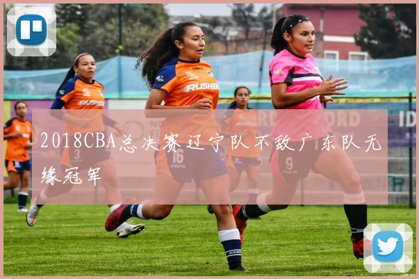 2018CBA总决赛辽宁队不敌广东队无缘冠军