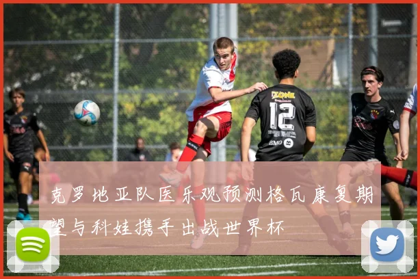克罗地亚队医乐观预测格瓦康复期望与科娃携手出战世界杯