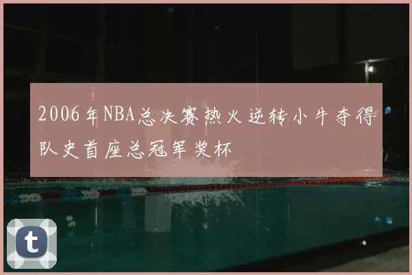 2006年NBA总决赛热火逆转小牛夺得队史首座总冠军奖杯