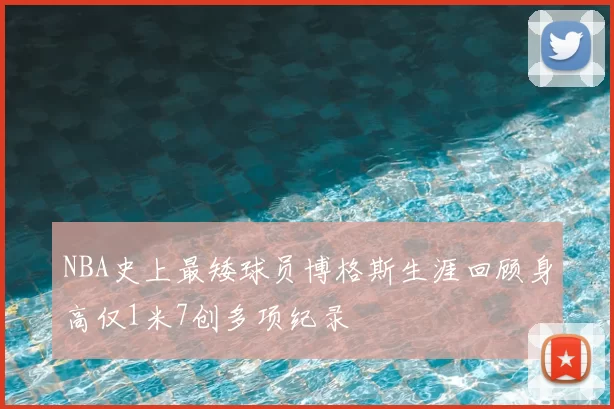 NBA史上最矮球员博格斯生涯回顾身高仅1米7创多项纪录