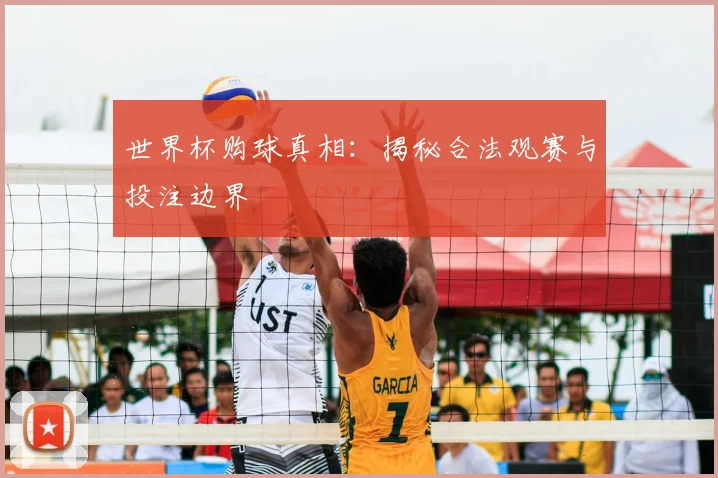 世界杯购球真相：揭秘合法观赛与投注边界