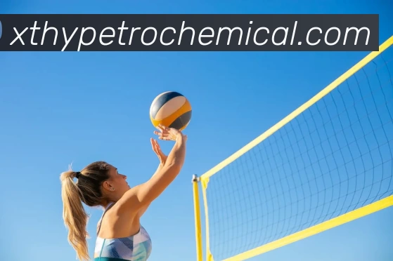 华体会体育平台生态图